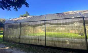 Imagem 7: FLORIANóPOLIS - Terreno Padrão - São João do Rio Vermelho