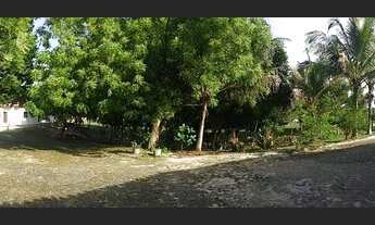 Imagem 3: Sítio com área de 12.420 metros quadrados- investimento