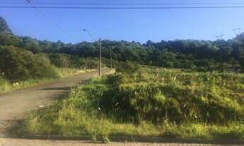 Imagem: CAXIAS DO SUL - Terreno Padrão - Monte
