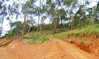 Imagem 6: VIçOSA - Chácara - Violeira