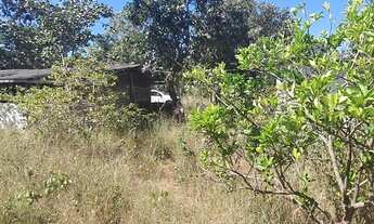 Imagem 3: Fazenda/Sítio/Chácara para venda tem 10000 metros quadrados em Planaltina - Brasília - DF