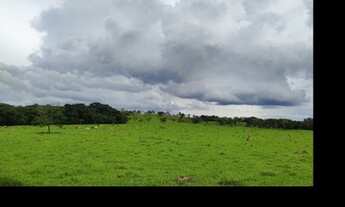 Imagem 2: Fazendinhas na regiao de Divinopolis