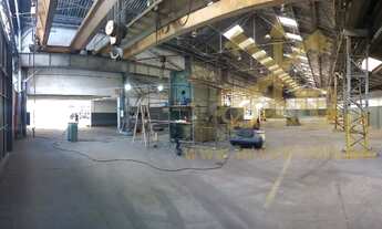 Imagem: São Paulo - Galpão/Depósito/Armazém