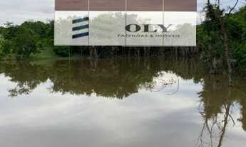 Imagem 2: OPORTUNIDADE ! Fazenda em Rubiataba-GO ! 255 Alqueires !