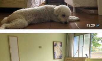 Imagem 6: Casa para venda tem 44 metros quadrados com 1 quarto em Casa Caiada - Olinda - PE