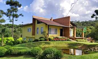 Imagem 4: RIO NEGRINHO - CHACARA - Campo Lençol