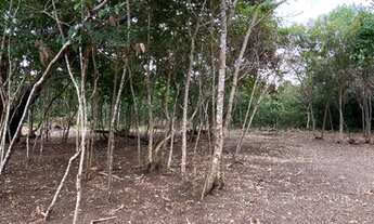 Imagem: Terreno bem próximo da Padaria Recanto