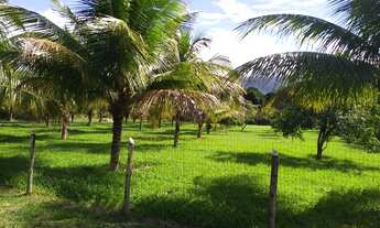 Imagem 3: VENDO EXCELENTE ÁREA