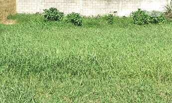 Imagem 3: Terreno de 250m² à venda no Condomínio Bosque da Ilha, Guaratiba, Rio de Janeiro