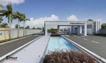 Imagem: Primordiale um Novo Conceito de Morar Bem!