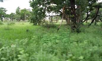 Imagem 3: Fazenda para Venda em Dianópolis