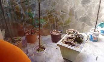 Imagem 6: Casa com 4 dormitórios à venda, 800 m² - Vale dos Pinheiros - Nova Friburgo/RJ