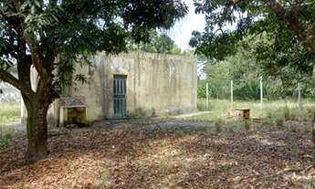 Imagem 3: Oportunidade ?mpar!!