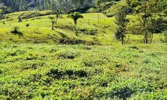 Imagem 5: Oportunidade!!! Linda propriedade a venda com 250 ha no município de Tijucas SC!!!