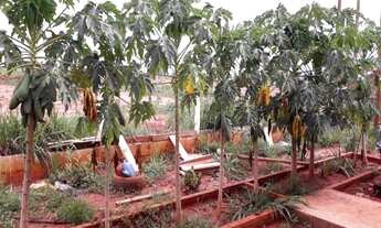 Imagem 6: Que tal aquela casa de campo dentro da cidade? Chácara em Uberlândia - MG com 20.000m² em