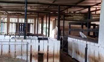 Imagem 6: Área Rural para Venda em Francisco Beltrão, Zona Rural