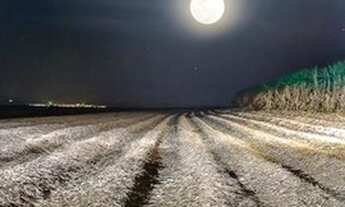 Imagem 2: Fazenda para Venda em Mineiros, Mineirinho