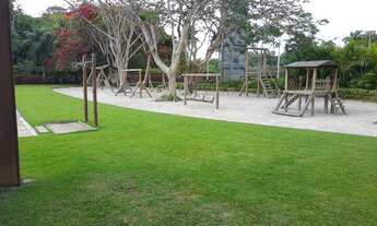 Imagem 2: Terra viva da aldeia