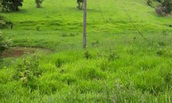 Imagem: Fazenda 500 alqueires. 30 mi