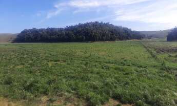 Imagem 5: Fazenda próximo a cachoeiro