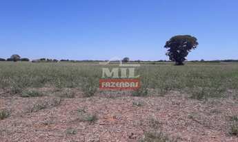 Imagem: Fazenda Produtiva em Porangatu-GO / 92 Alq