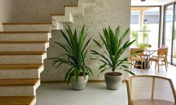 Imagem 6: Leo vende, Amarilis, 4 suítes, piscina, goumert, mobiliada