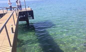 Imagem 3: Área linda com 35.350m2 em Angra dos Reis - RJ