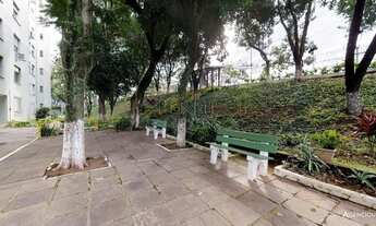 Imagem 3: PORTO ALEGRE - Padrão - Cristal