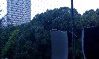 Imagem 3: Apartamento com 2 dormitórios à venda, 75 m² por R$ 530.000,00 - Icaraí - Niterói/RJ