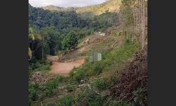 Imagem 3: Área Em Boa Esperança - Marechal Floriano