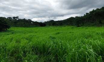 Imagem 5: Fazenda para Venda em Ponte Alta do Tocantins