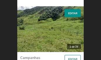 Imagem 3: Fazendinha em Rio Preto (M.G.) 65 Hectares