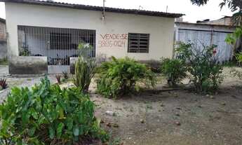 Imagem 2: Mini sítio na sotave