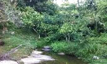 Imagem 3: Fazenda 78 Alqueires