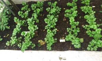 Imagem 5: SÃO PAULO - Apartamento Padrão - VILA MARIANA