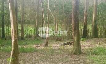 Imagem 7: SãO BERNARDO DO CAMPO - Terreno Padrão - Alvarenga