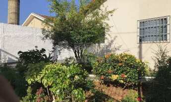 Imagem 5: Casa Padrão em São José do Rio Preto