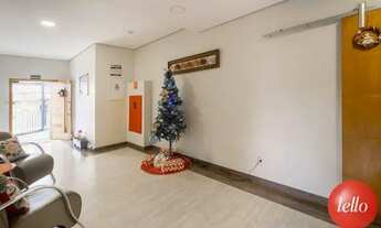 Imagem 5: São Paulo - Apartamento Padrão - Vila Ema