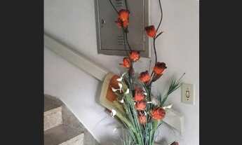 Imagem 6: Apartamento Térreo Caiu