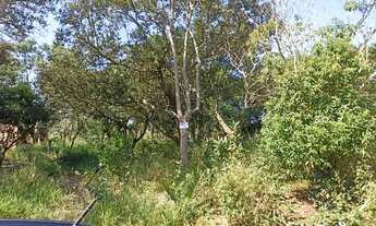 Imagem 2: Vende-se terreno na cidade de Alambari