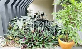 Imagem 3: Blumenau - Casa Padrão - Itoupavazinha