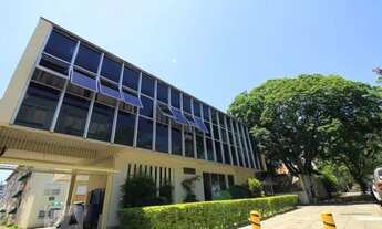 Imagem: Apartamento para Aluguel - São João 