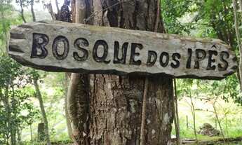 Imagem 2: Sítio a venda em Persegueiros