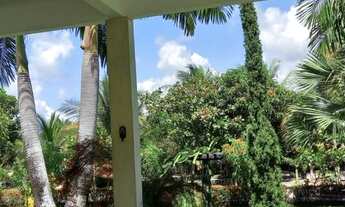 Imagem 4: Chácara para venda tem 580 metros quadrados com 3 quartos em Mosquito -