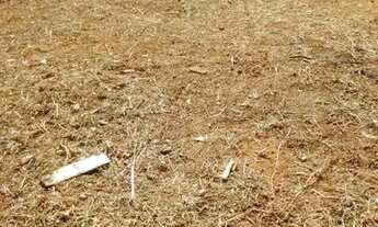 Imagem 2: Vende-se esse terreno