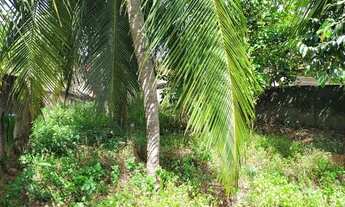 Imagem 5: Casa pra vender no conjunto Santarém