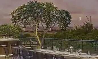 Imagem 6: THI - Cadastre se : Aurora Prince, Seu Novo Lar!