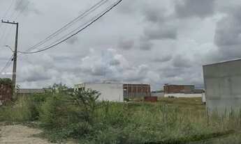 Imagem 4: Lote para Venda em Vitória de Santo Antão, Matriz