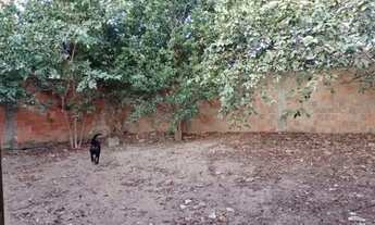 Imagem 6: 10 Casa em Nova valverde