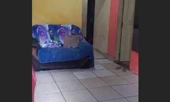 Imagem 3: Casa a venda Casa com 3 dormitórios